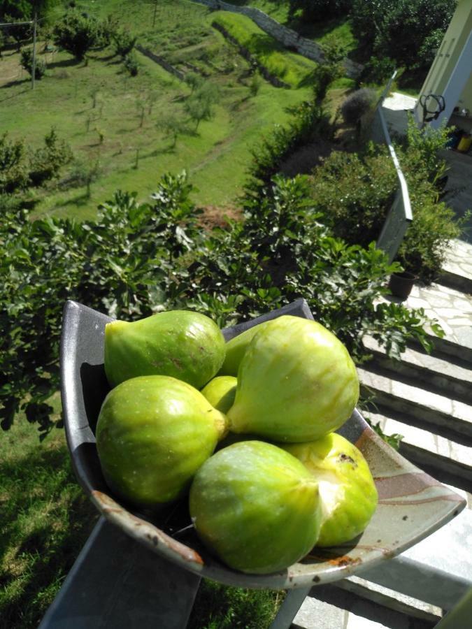 Borgo San Rocco Piemonte Apartment Castino Ngoại thất bức ảnh